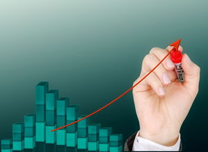 意甲青训项目引入情绪管理提升抗压能力研究，意甲各队训练营